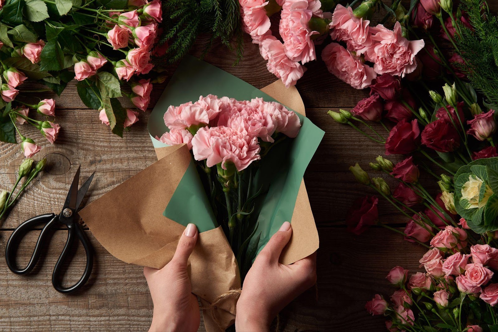 4-facts-that-every-carnation-lover-should-know-1